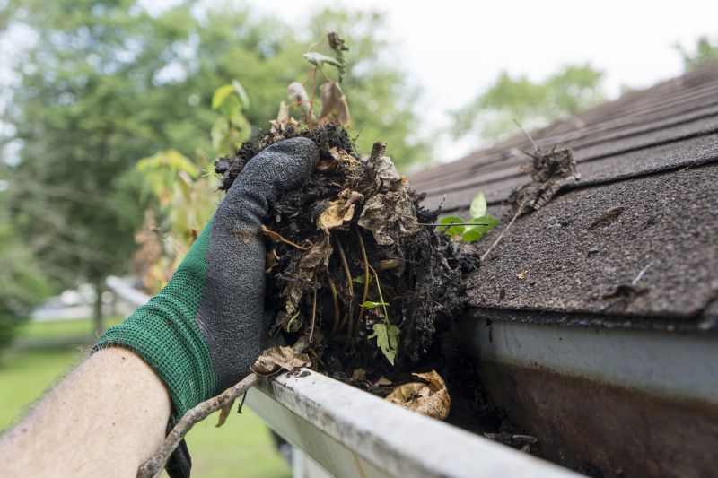 Clogged Gutter Clearing in Richmond, VA