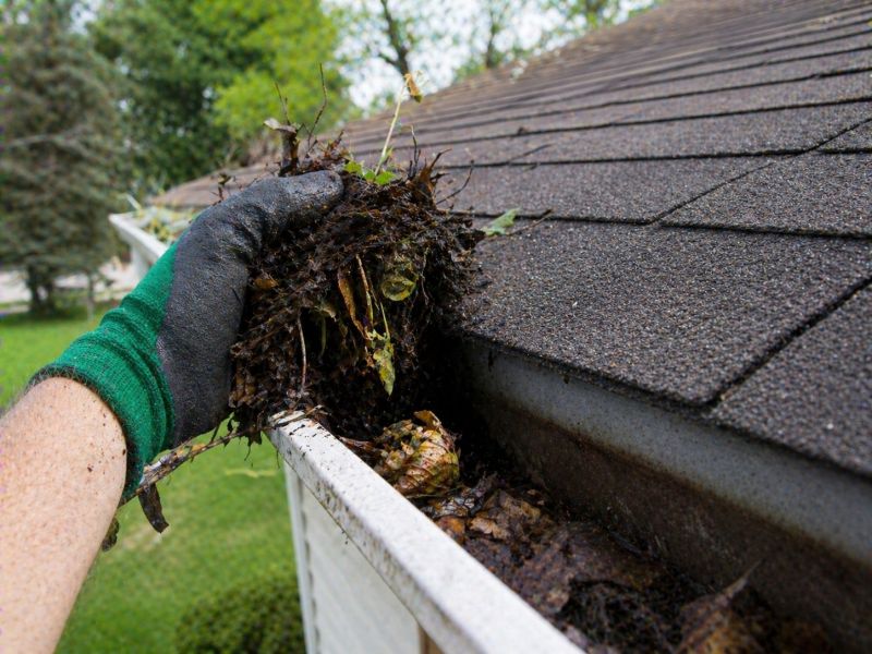 Gutter Blockage Removal in Frederick, MD