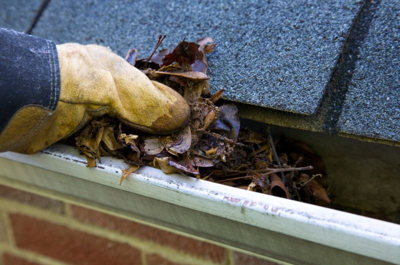 Clogged Gutter Clearing in Annapolis, MD