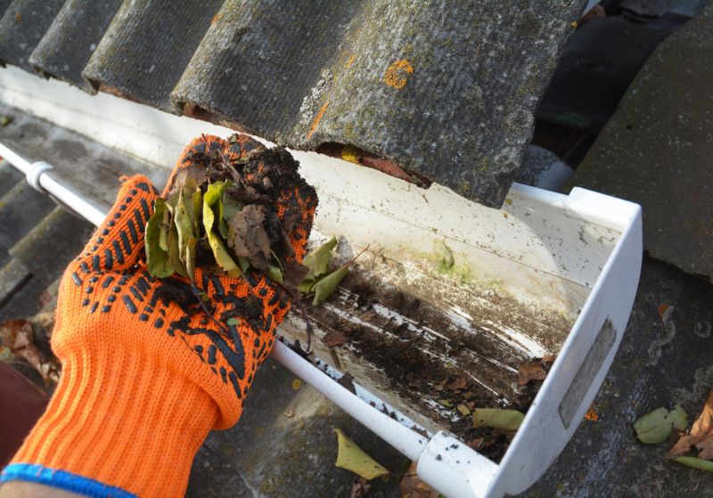 Clogged Gutter Clearing in Longmont, CO