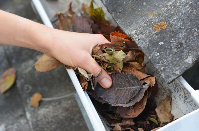 Commercial Gutter Cleaning in Littleton, CO