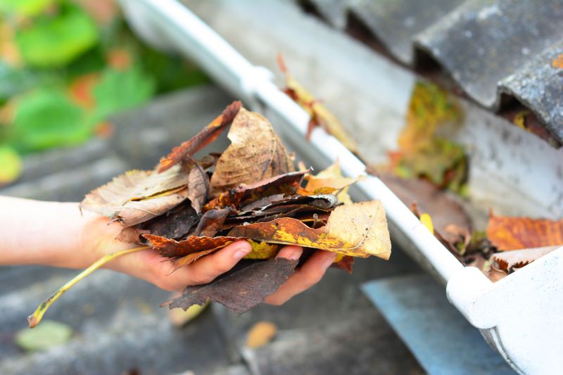 Commercial Gutter Maintenance in Littleton, CO