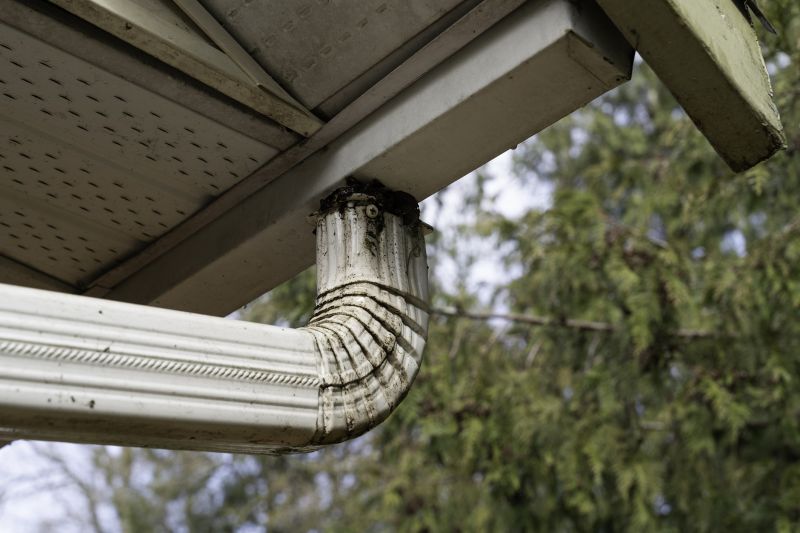Downspout Snaking in Richmond, VA
