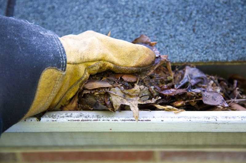 Gutter Blockage Removal in Rochester, NY