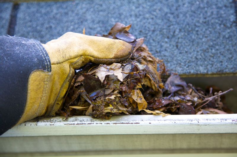 Gutter Leaf Clearing in Annapolis, MD