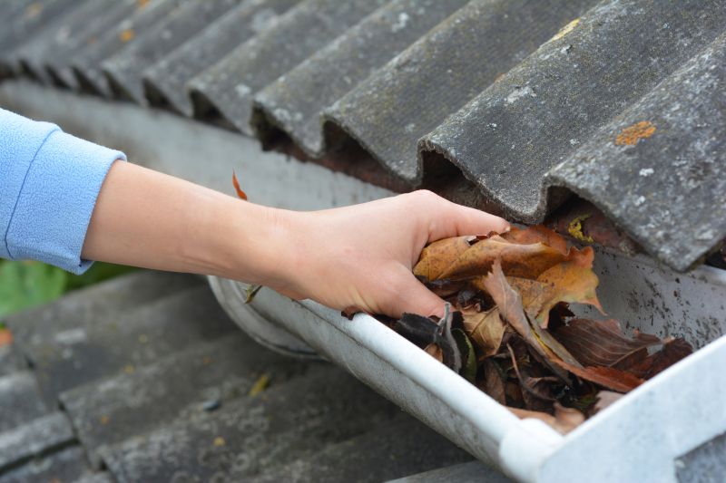 Gutter Leaf Clearing in Longmont, CO