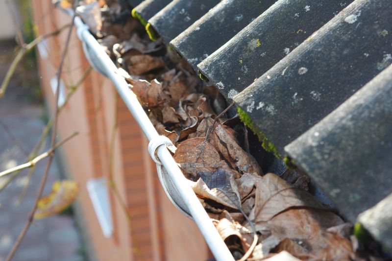 Gutter Leaf Clearing in Richmond, VA