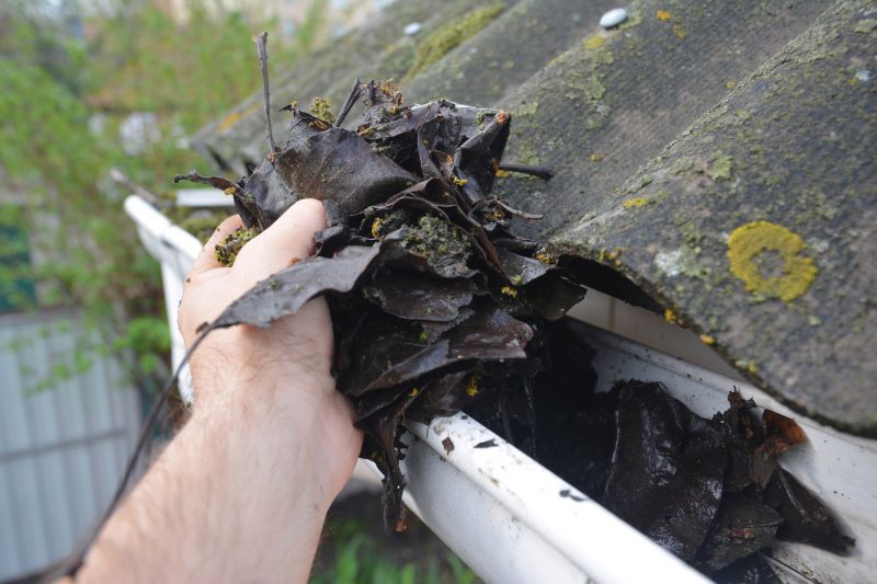 Gutter Pine Needle Removal in Morris County, NJ