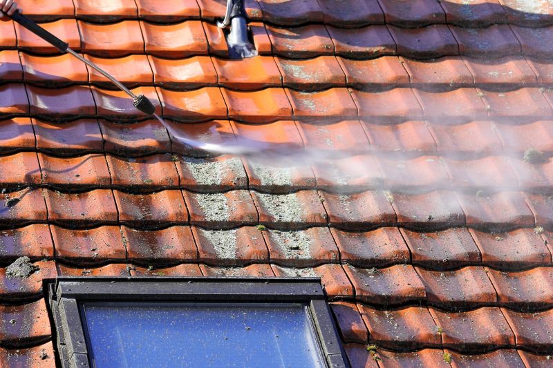 Roof Cleaning in Vancouver, WA