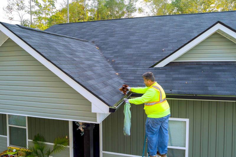 Roof Dirt Removal in Vancouver, WA