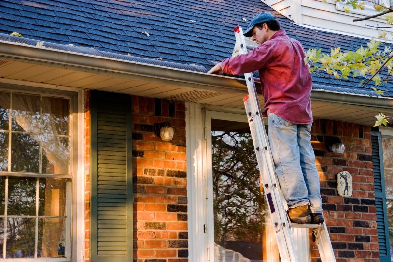 Roof Gutter Cleaning in Morris County, NJ