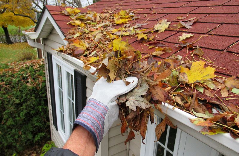 Roof Gutter Cleaning in Arvada, CO