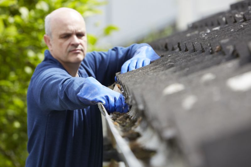 Roof Gutter Cleaning in Richmond, VA