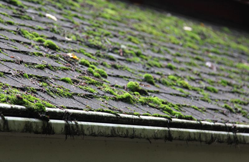 Roof Moss Removal in Vancouver, WA
