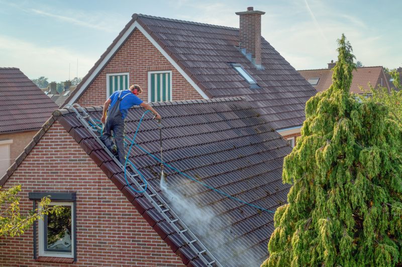 Roof Soft Washing in Vancouver, WA