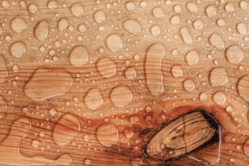 Wood Waterproofing in Bellevue, WA